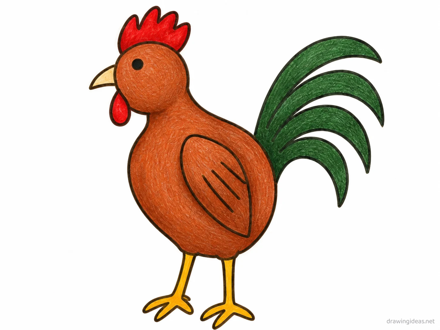 Rooster drawing — hand-drawn rooster illustration with ink lines and soft colors