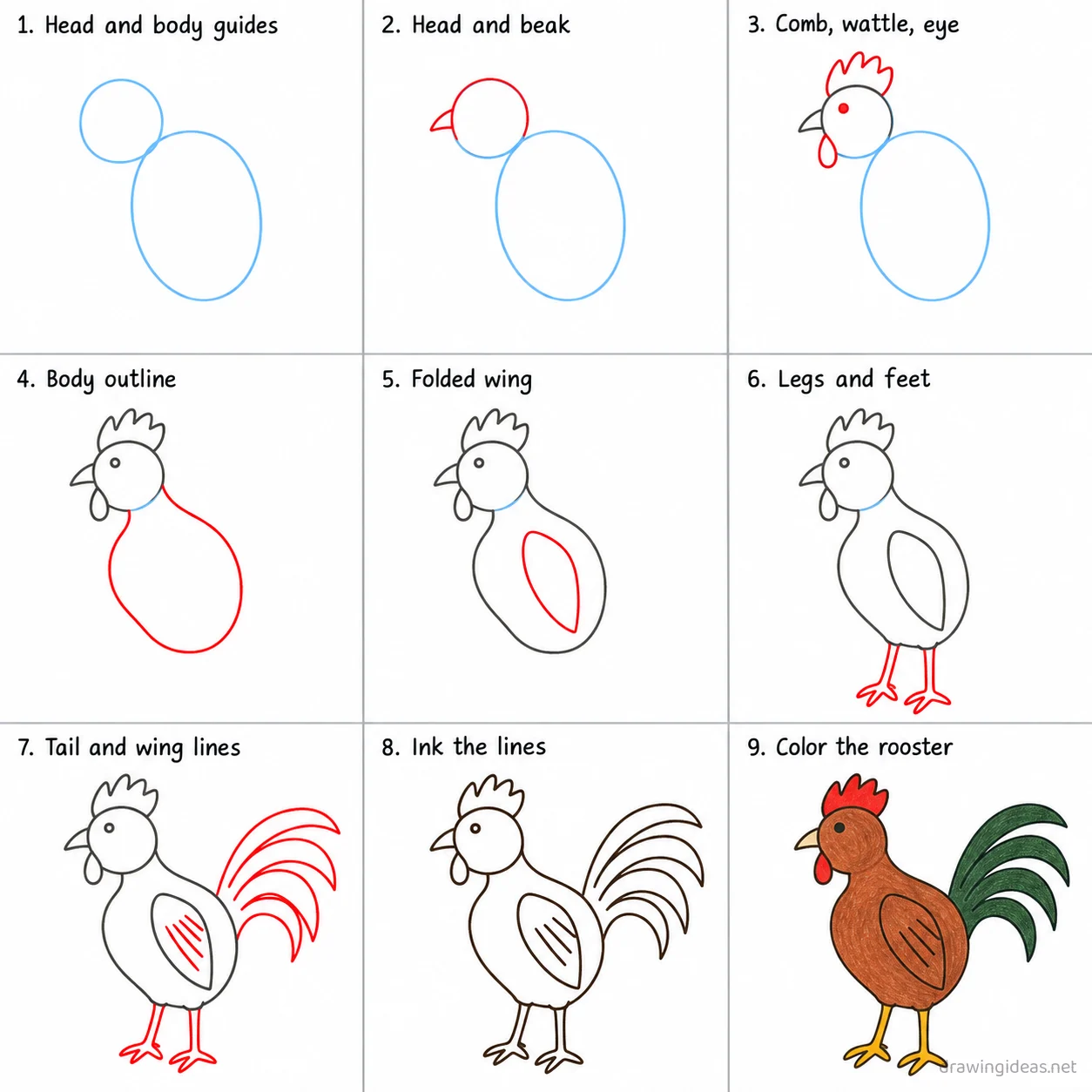 How to draw a rooster step by step — 9-step rooster drawing tutorial sheet