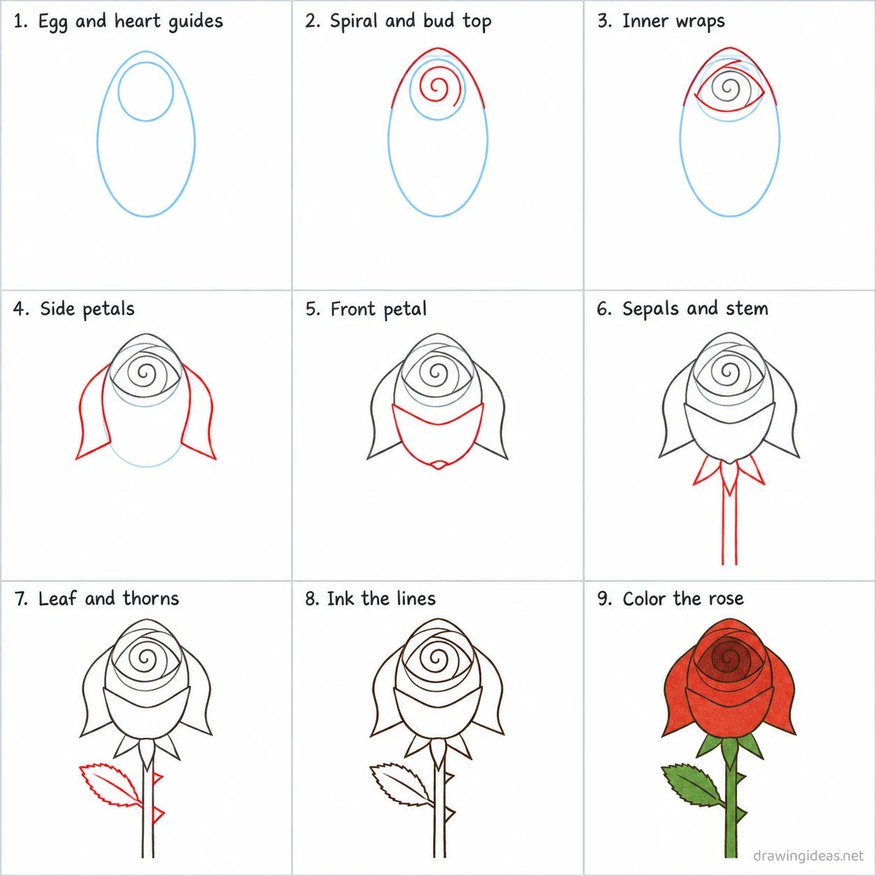 How to draw a rose step by step — 9-step rose drawing tutorial sheet