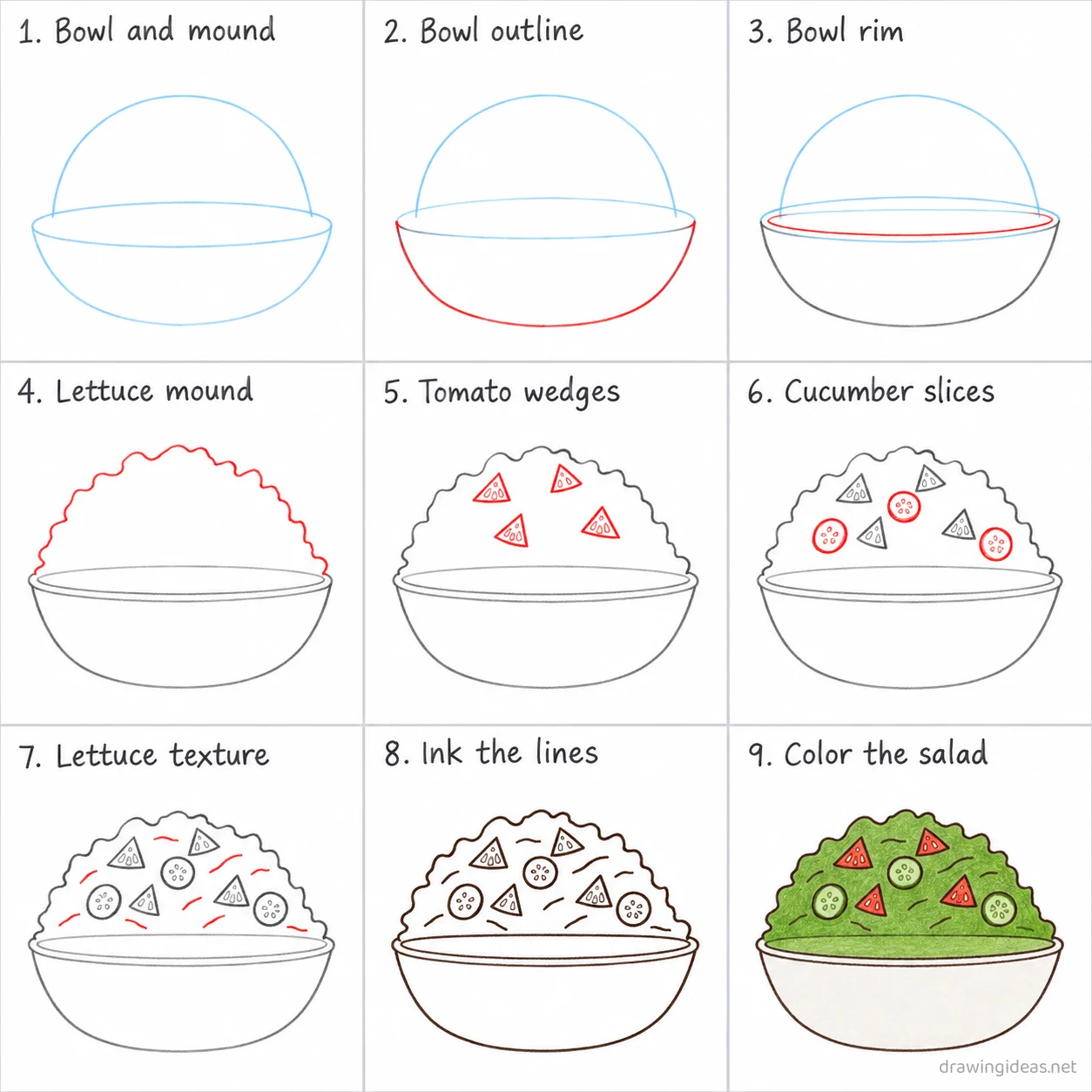 How to draw salad step by step — 9-step salad drawing tutorial sheet