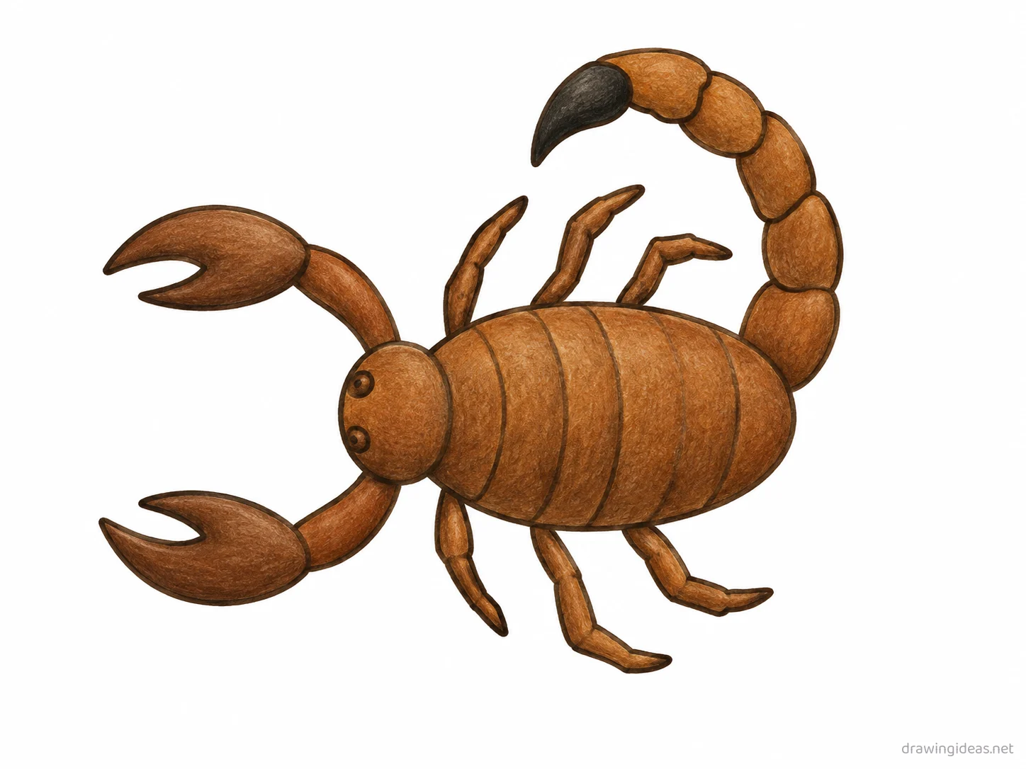 Scorpion drawing — hand-drawn scorpion illustration with ink lines and soft colors