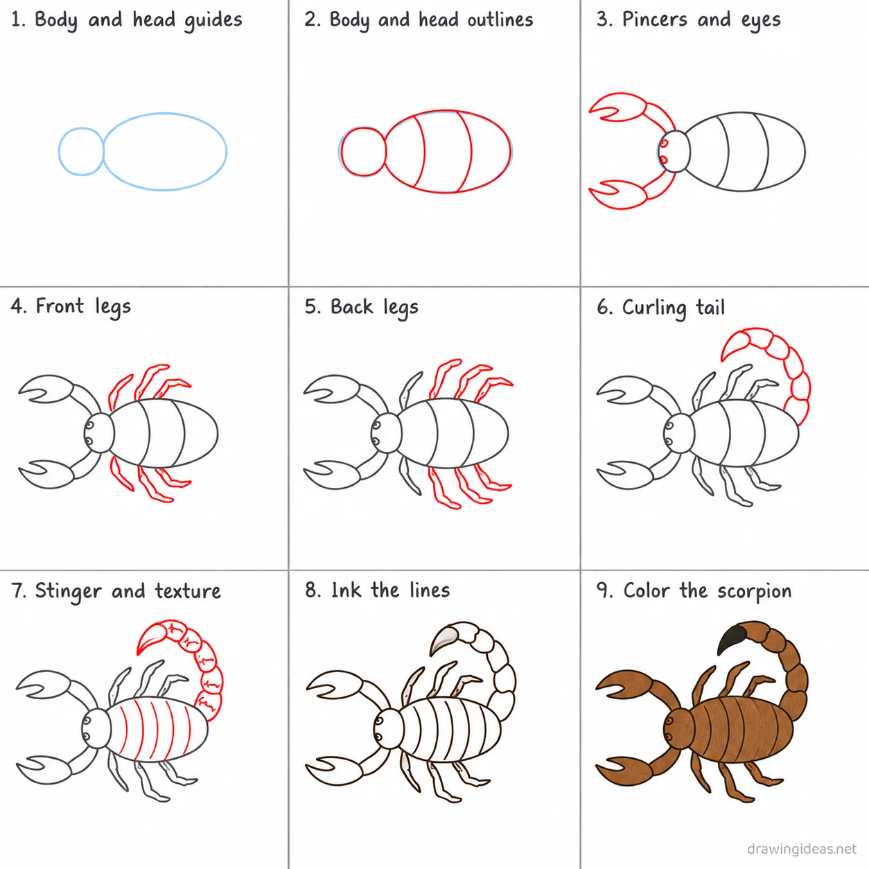 How to draw a scorpion step by step — 9-step scorpion drawing tutorial sheet