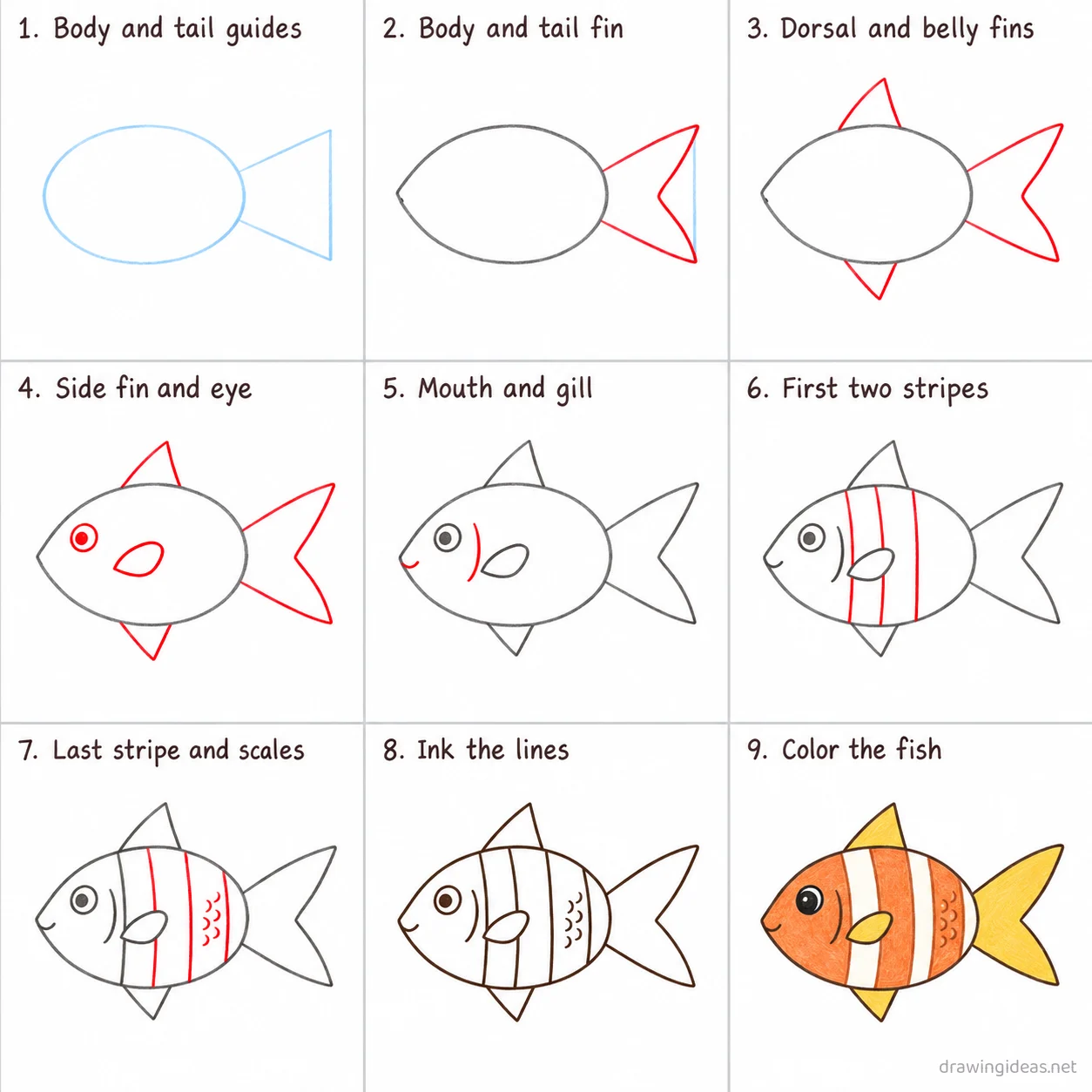 How to draw a sea animal step by step — 9-step sea animal drawing tutorial sheet