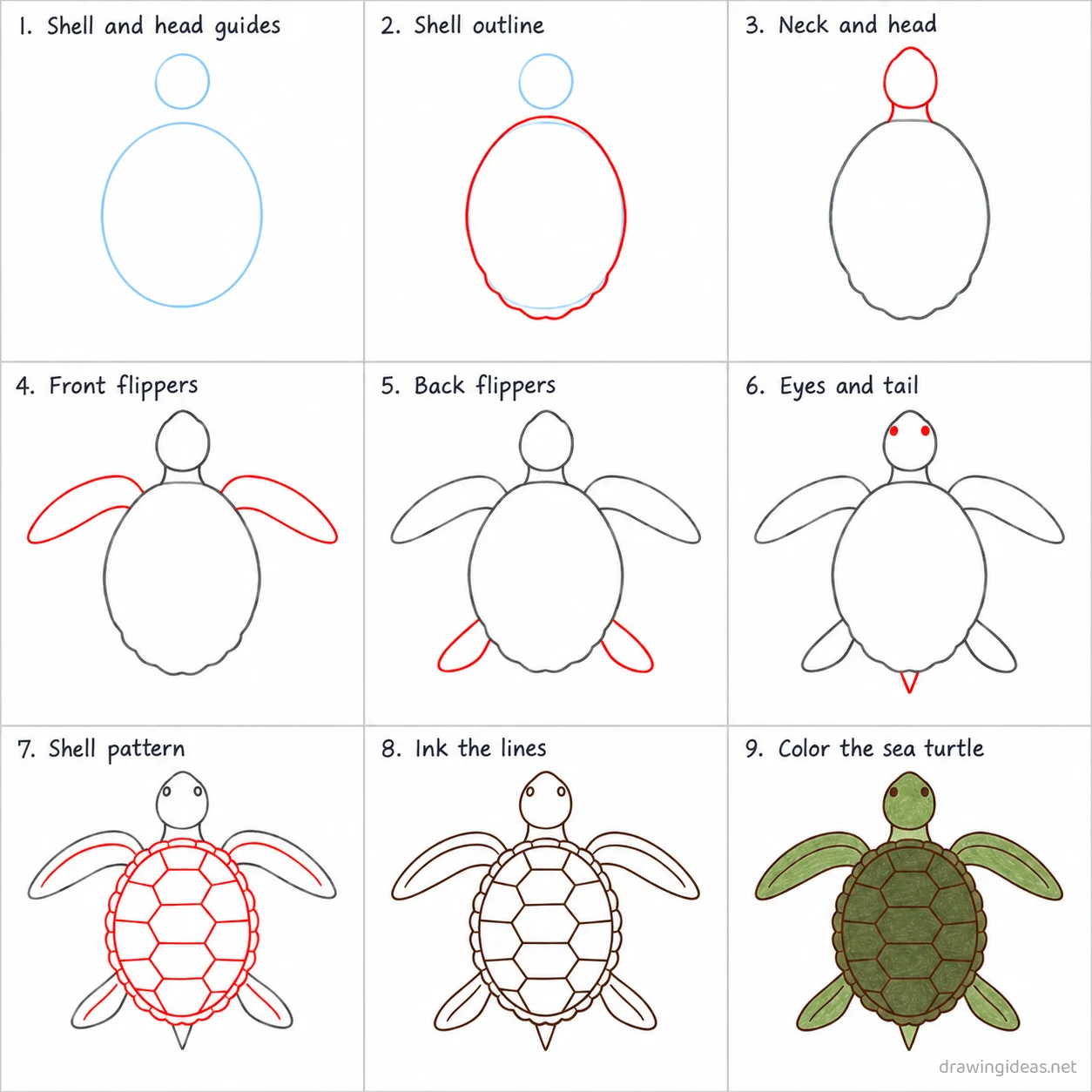 How to draw a sea turtle step by step — 9-step sea turtle drawing tutorial sheet