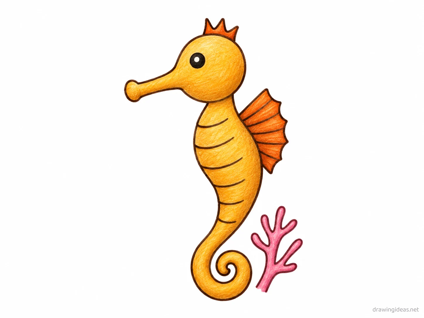 Seahorse drawing — hand-drawn seahorse illustration with ink lines and soft colors