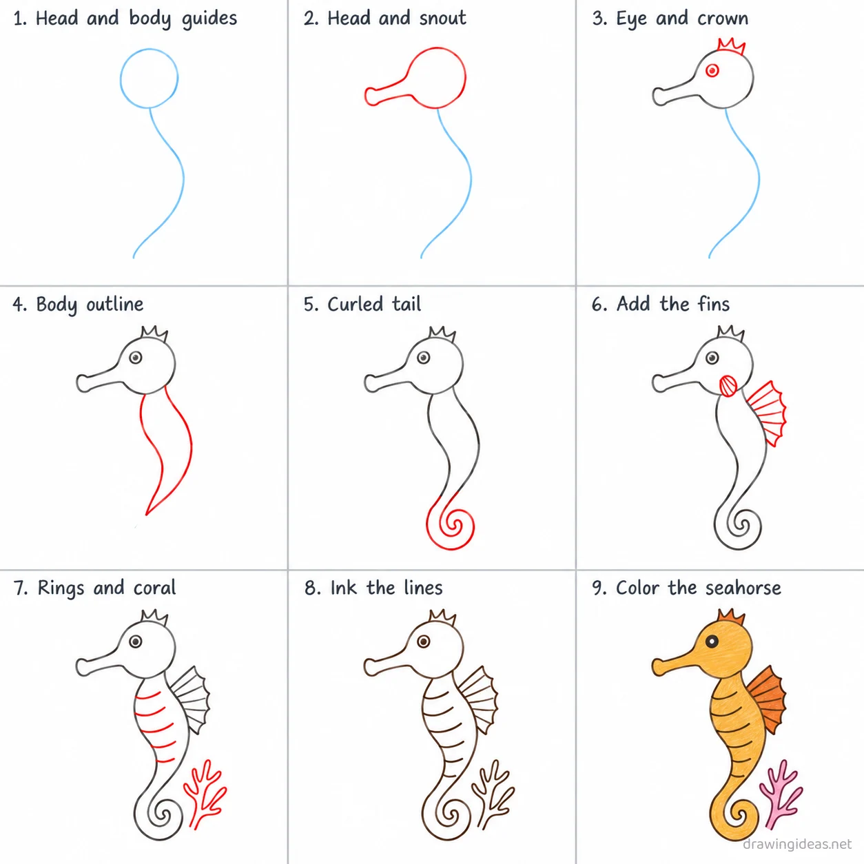 How to draw a seahorse step by step — 9-step seahorse drawing tutorial sheet