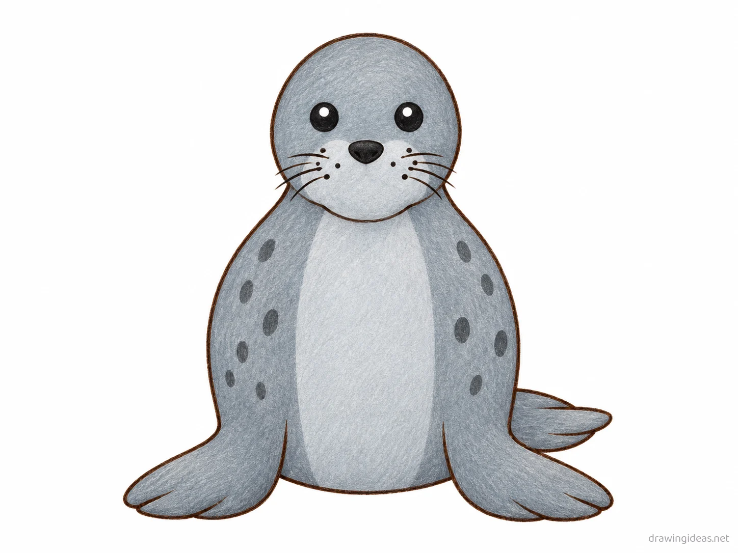 Seal drawing — hand-drawn seal illustration with ink lines and soft colors
