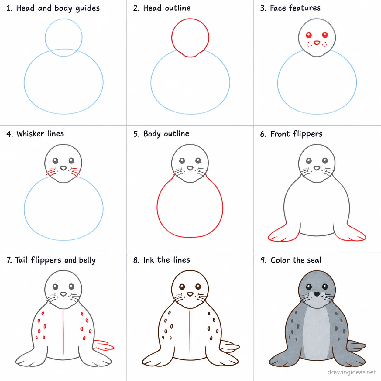 How to draw a seal step by step — 9-step seal drawing tutorial sheet