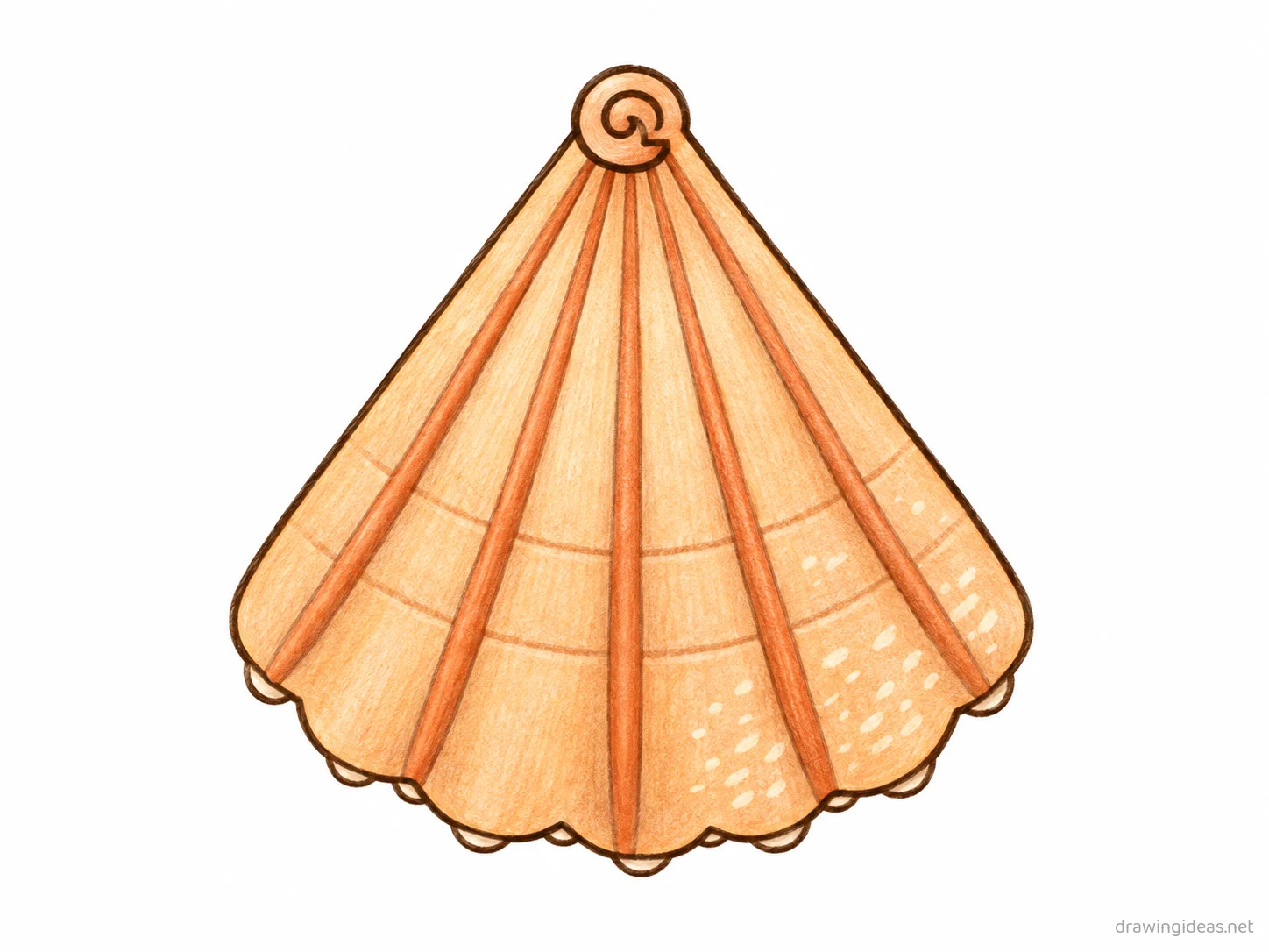 Seashell drawing — hand-drawn seashell illustration with ink lines and soft colors