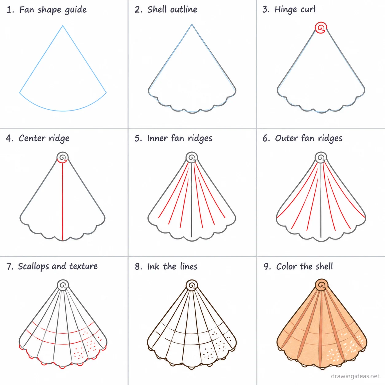 How to draw a seashell step by step — 9-step seashell drawing tutorial sheet