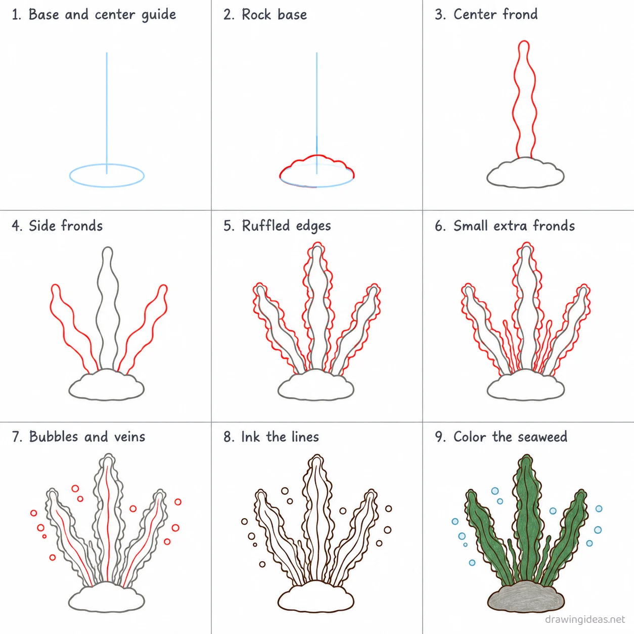 How to draw seaweed step by step — 9-step seaweed drawing tutorial sheet