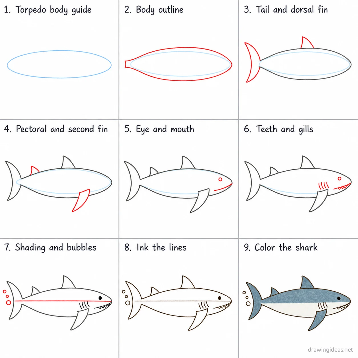 How to draw a shark step by step — 9-step shark drawing tutorial sheet