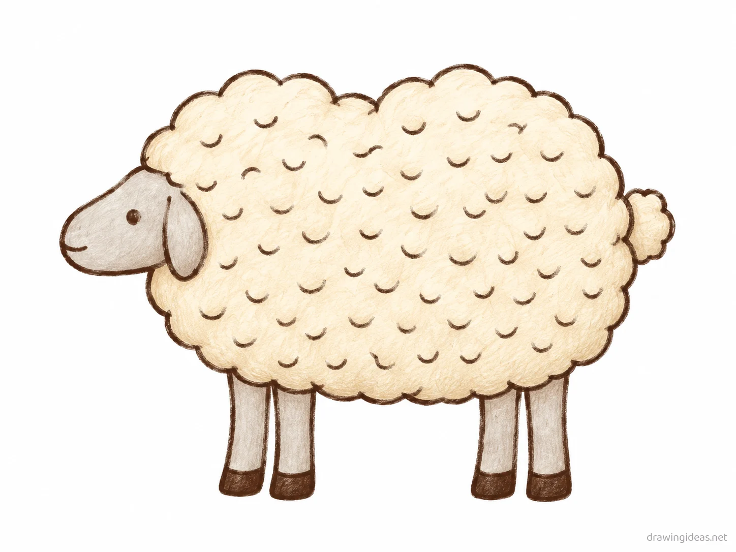 Sheep drawing — hand-drawn sheep illustration with ink lines and soft colors