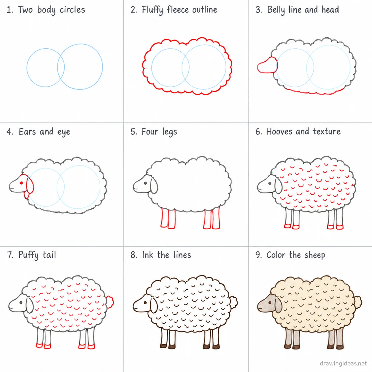 How to draw a sheep step by step — 9-step sheep drawing tutorial sheet