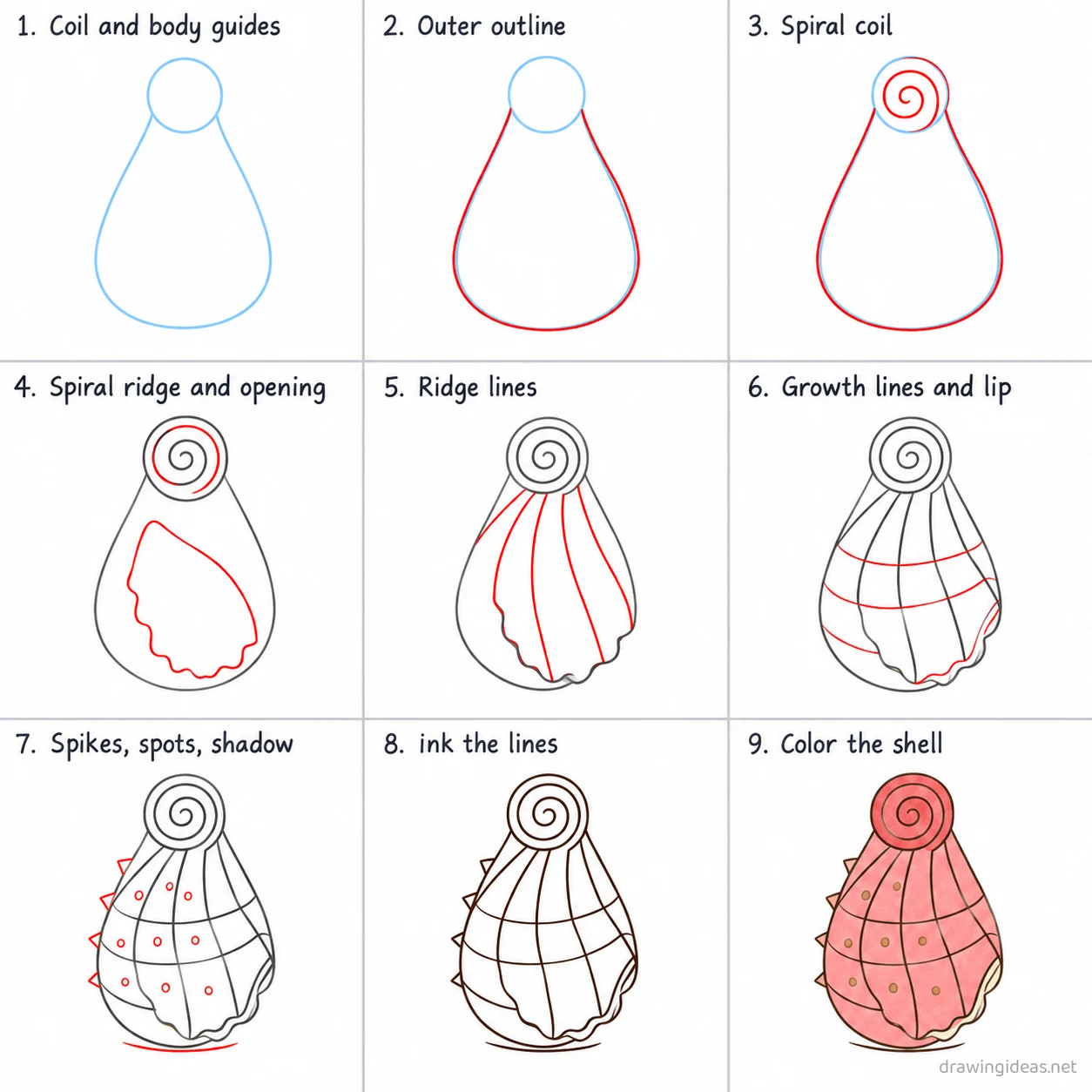 How to draw a shell step by step — 9-step shell drawing tutorial sheet