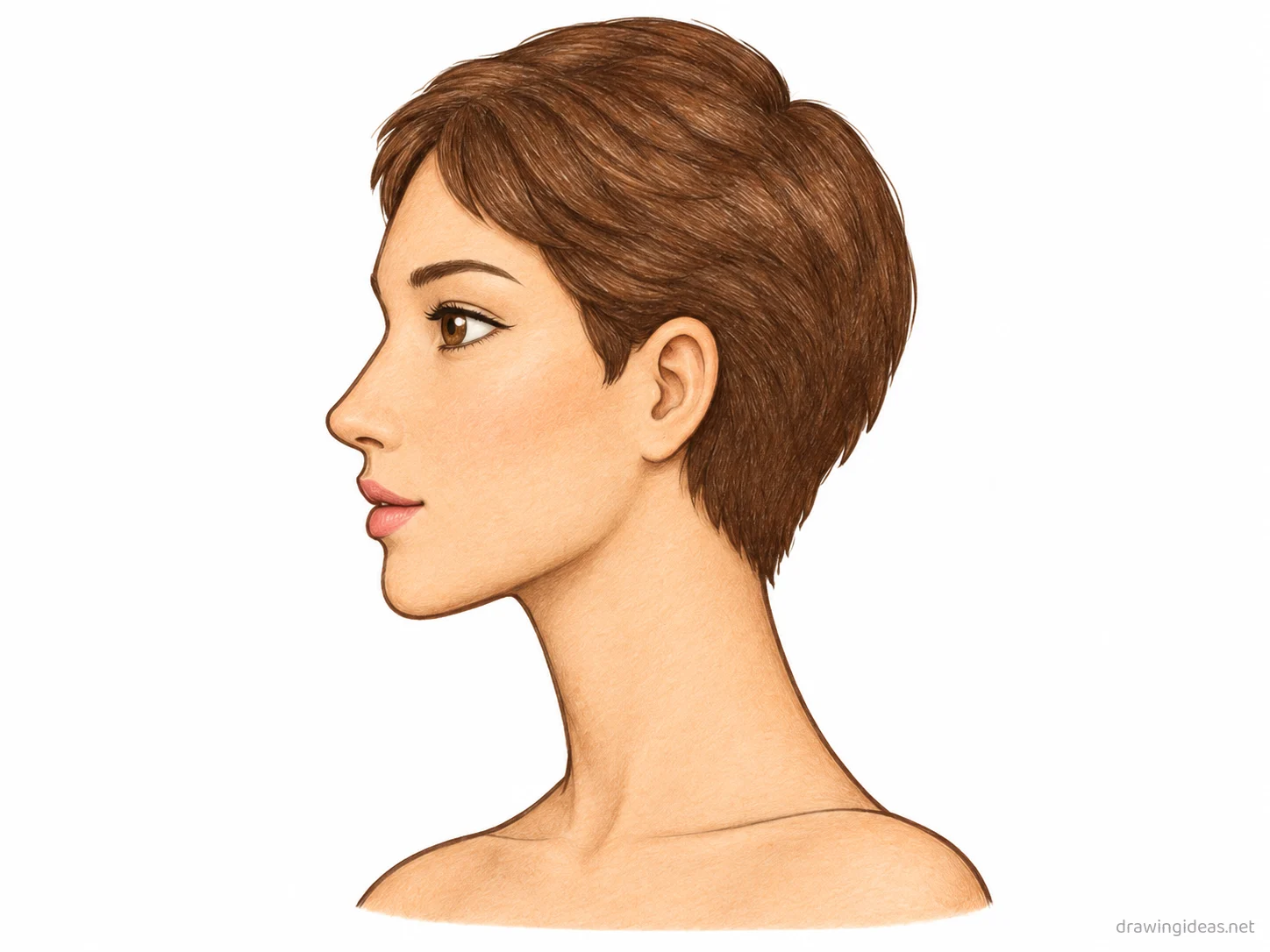 Side Profile drawing — hand-drawn side profile illustration with ink lines and soft colors