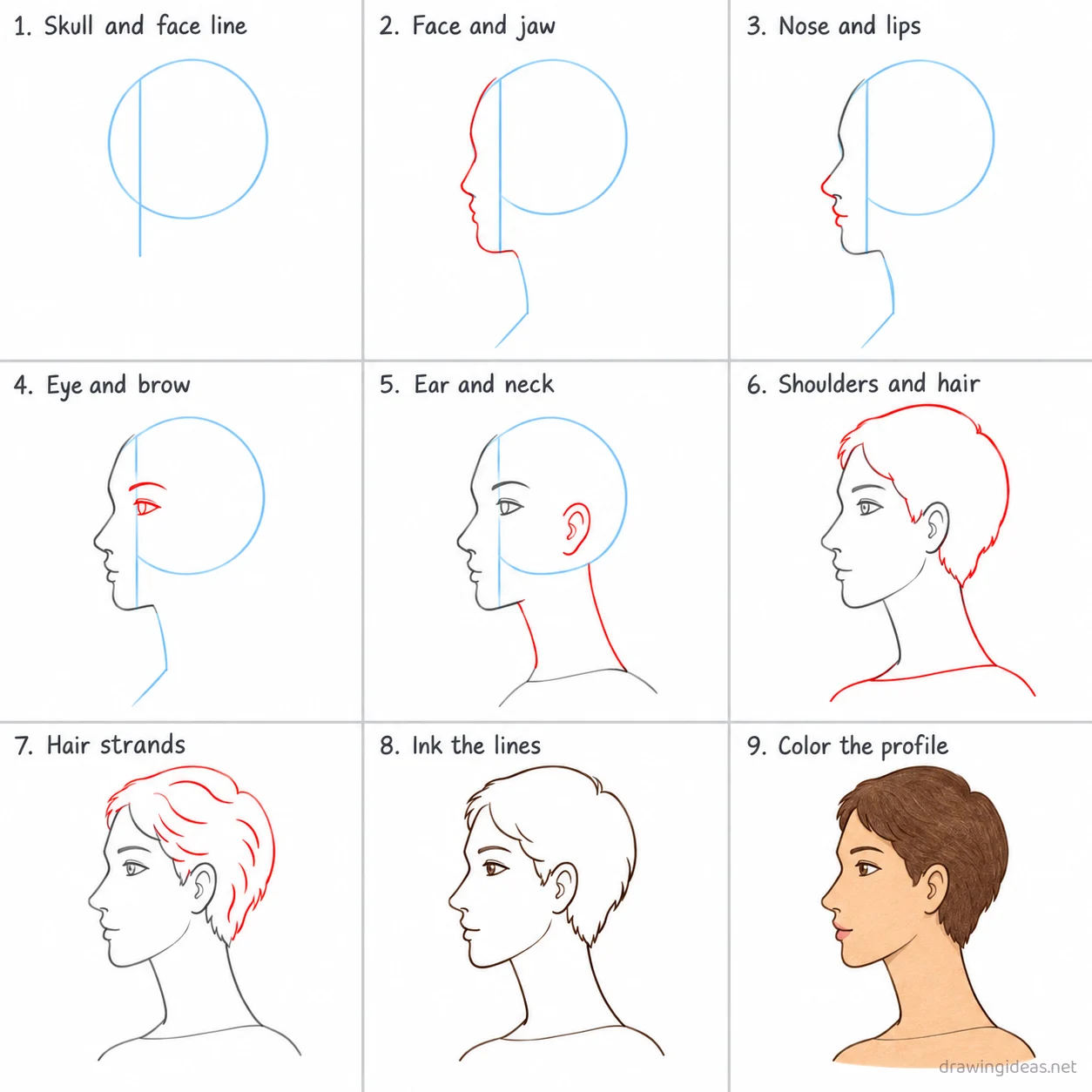 How to draw a side profile step by step — 9-step side profile drawing tutorial sheet