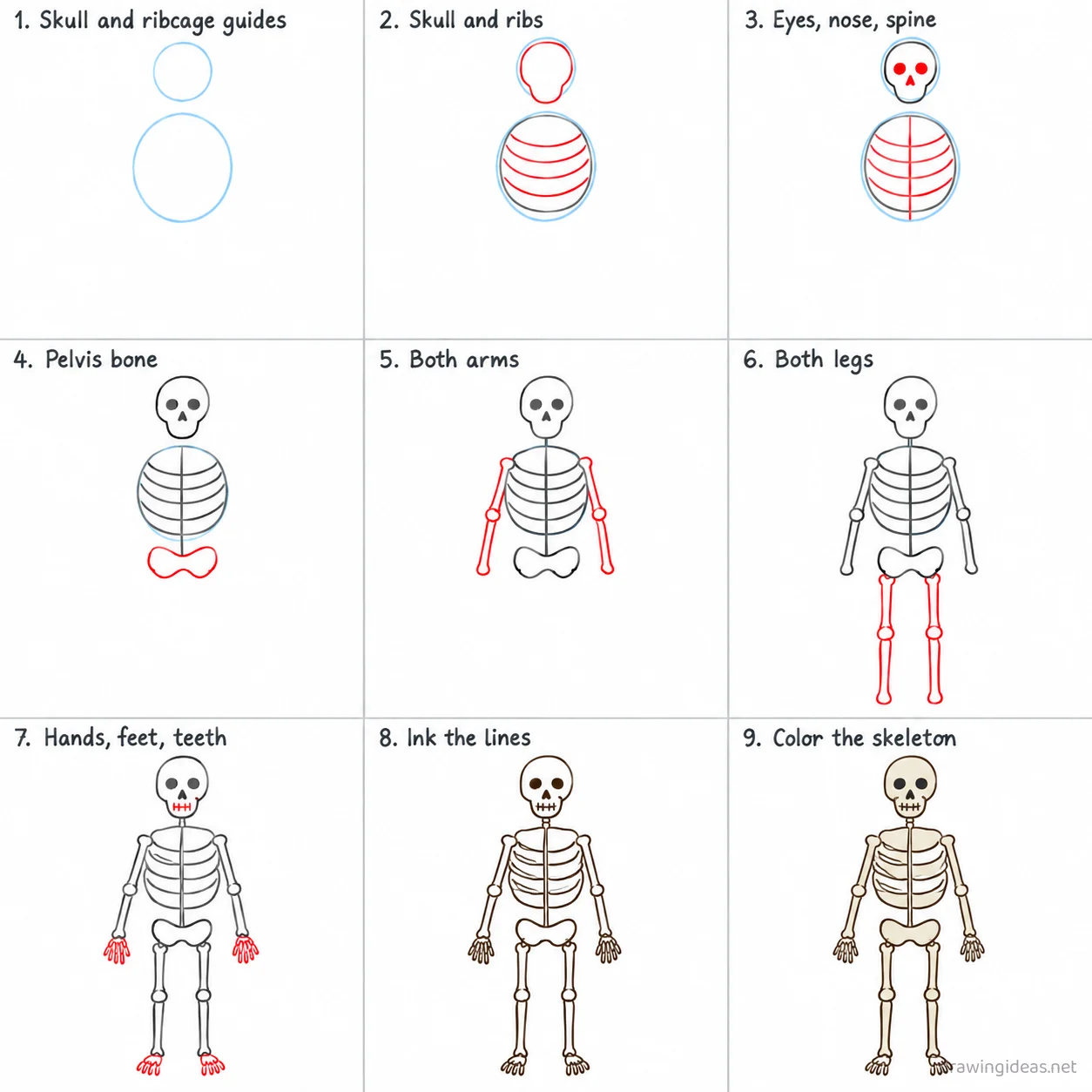 How to draw a skeleton step by step — 9-step skeleton drawing tutorial sheet