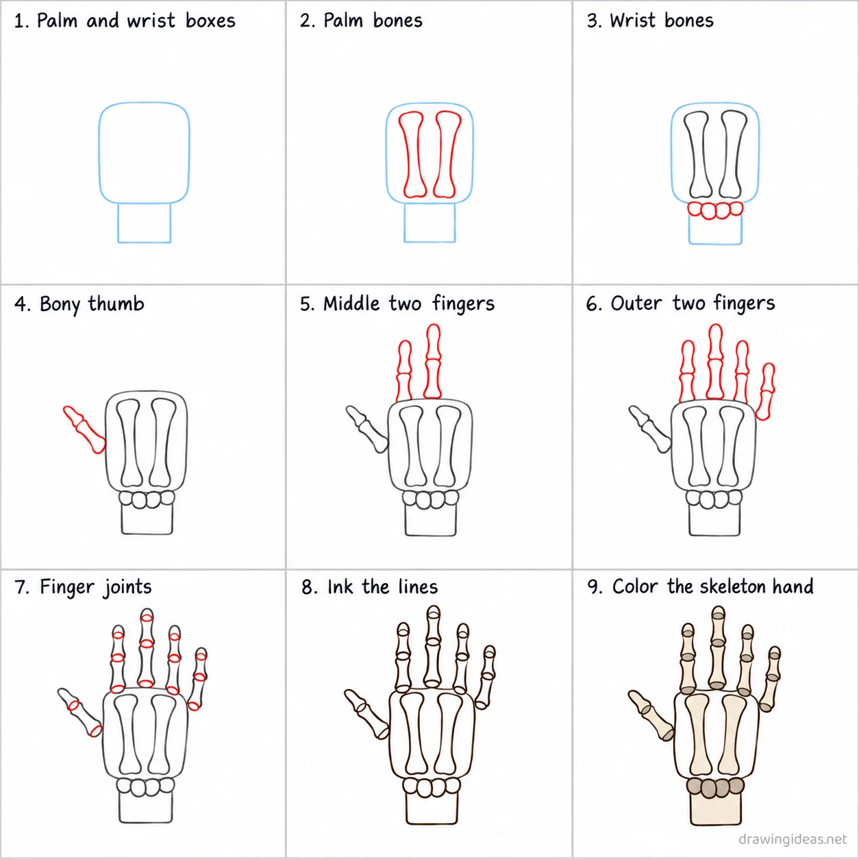 How to draw a skeleton hand step by step — 9-step skeleton hand drawing tutorial sheet
