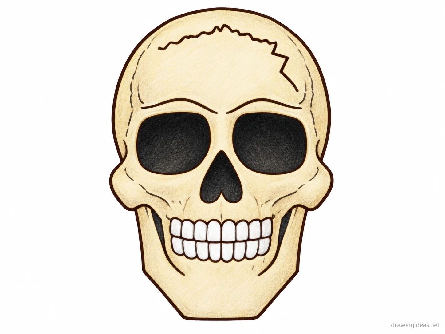 Skull drawing — hand-drawn skull illustration with ink lines and soft colors