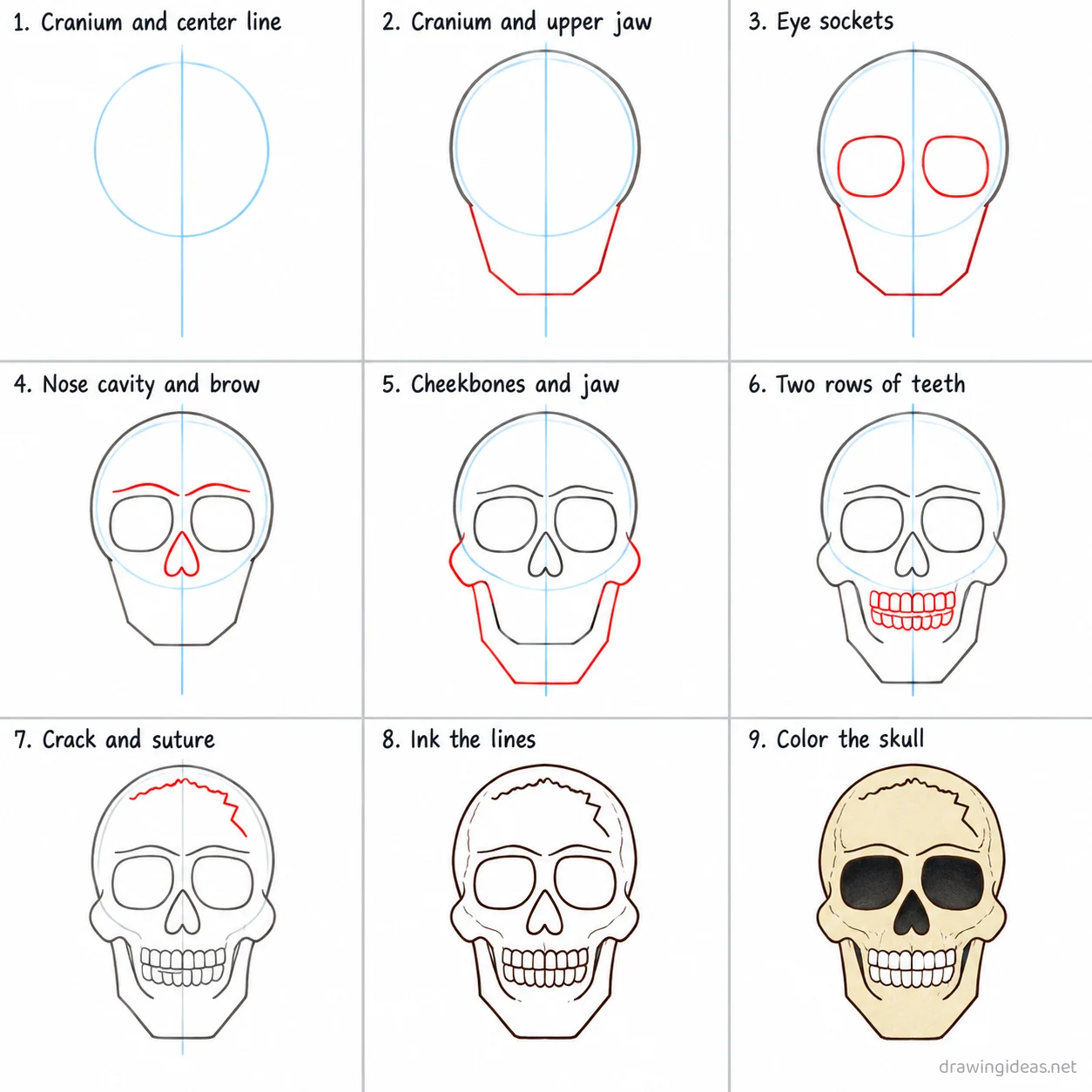 How to draw a skull step by step — 9-step skull drawing tutorial sheet