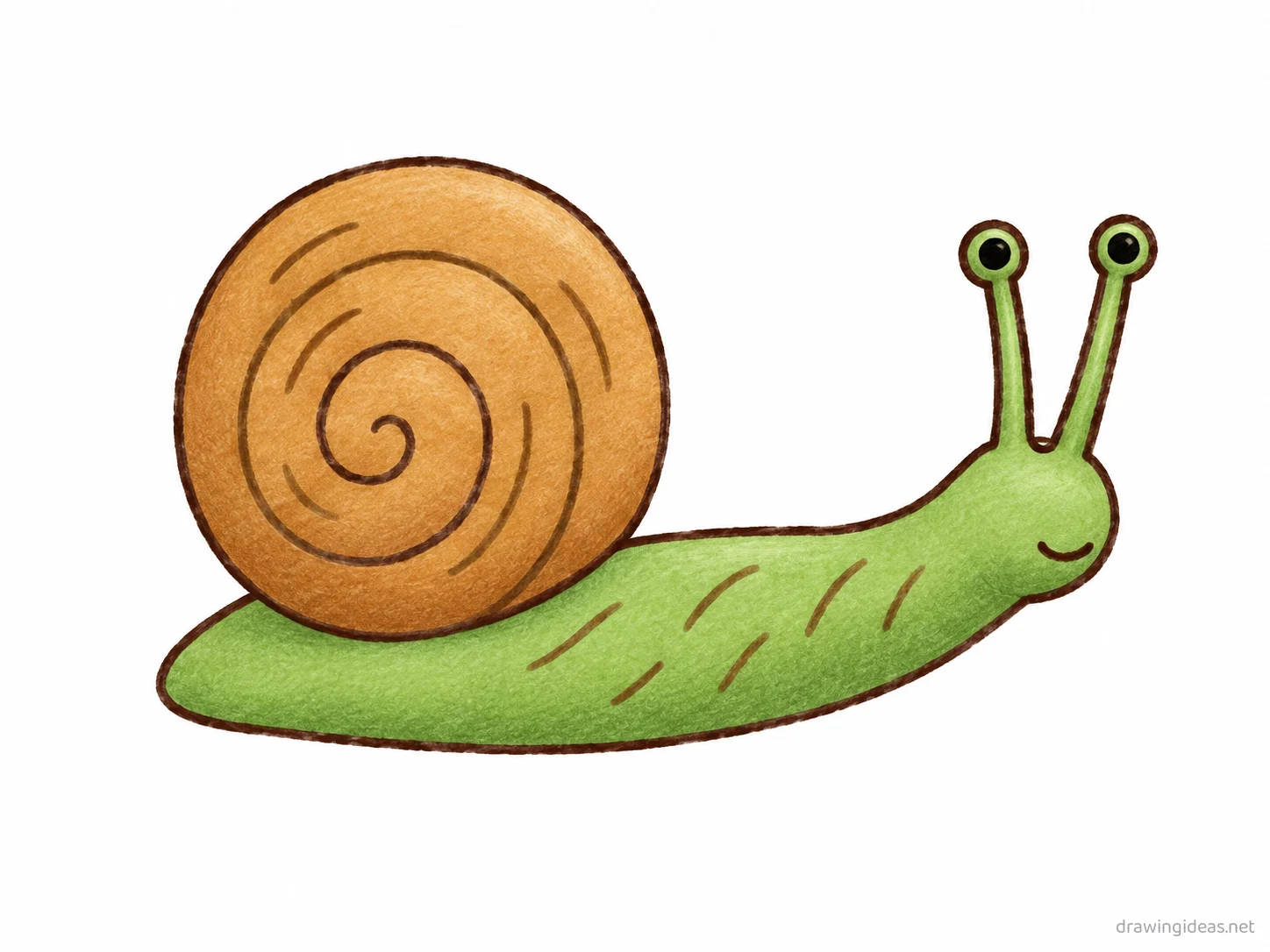 Snail drawing — hand-drawn snail illustration with ink lines and soft colors