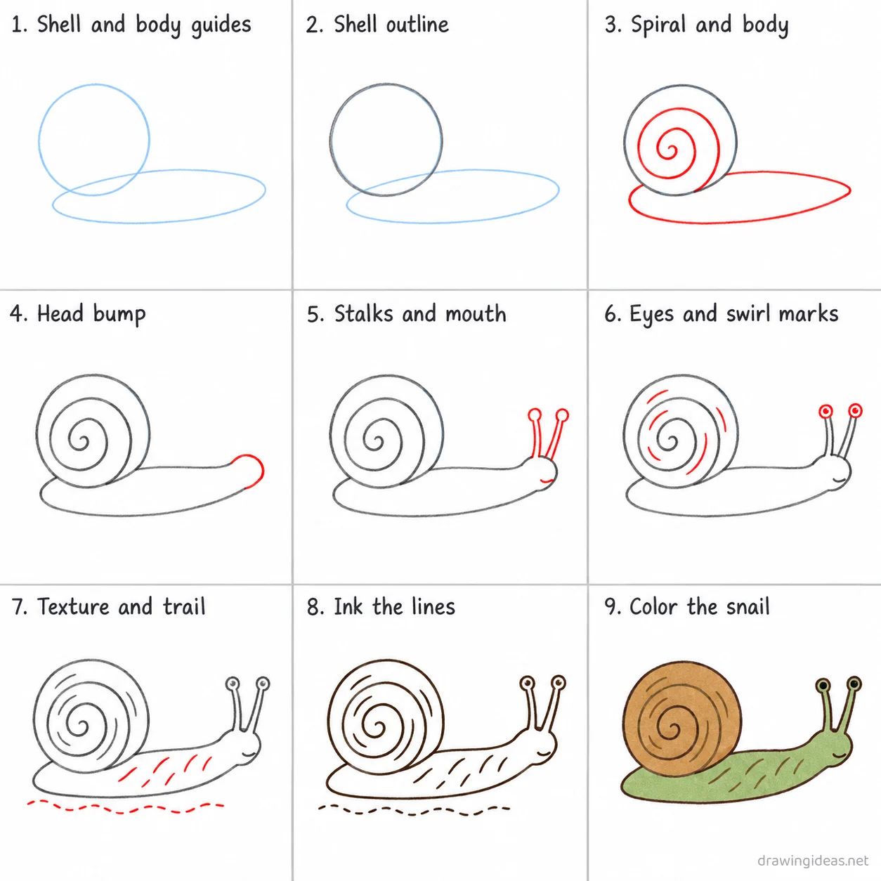 How to draw a snail step by step — 9-step snail drawing tutorial sheet