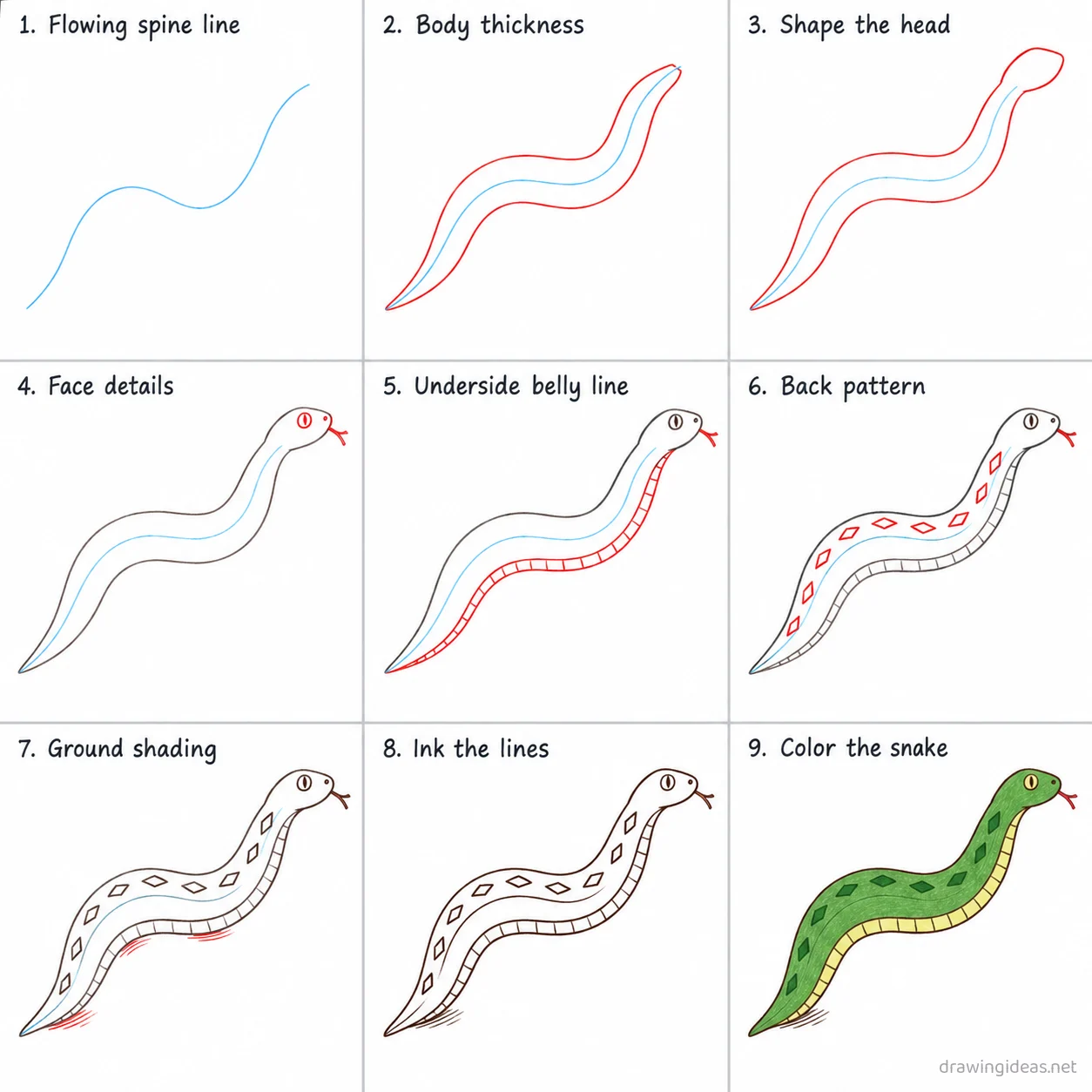 How to draw a snake step by step — 9-step snake drawing tutorial sheet