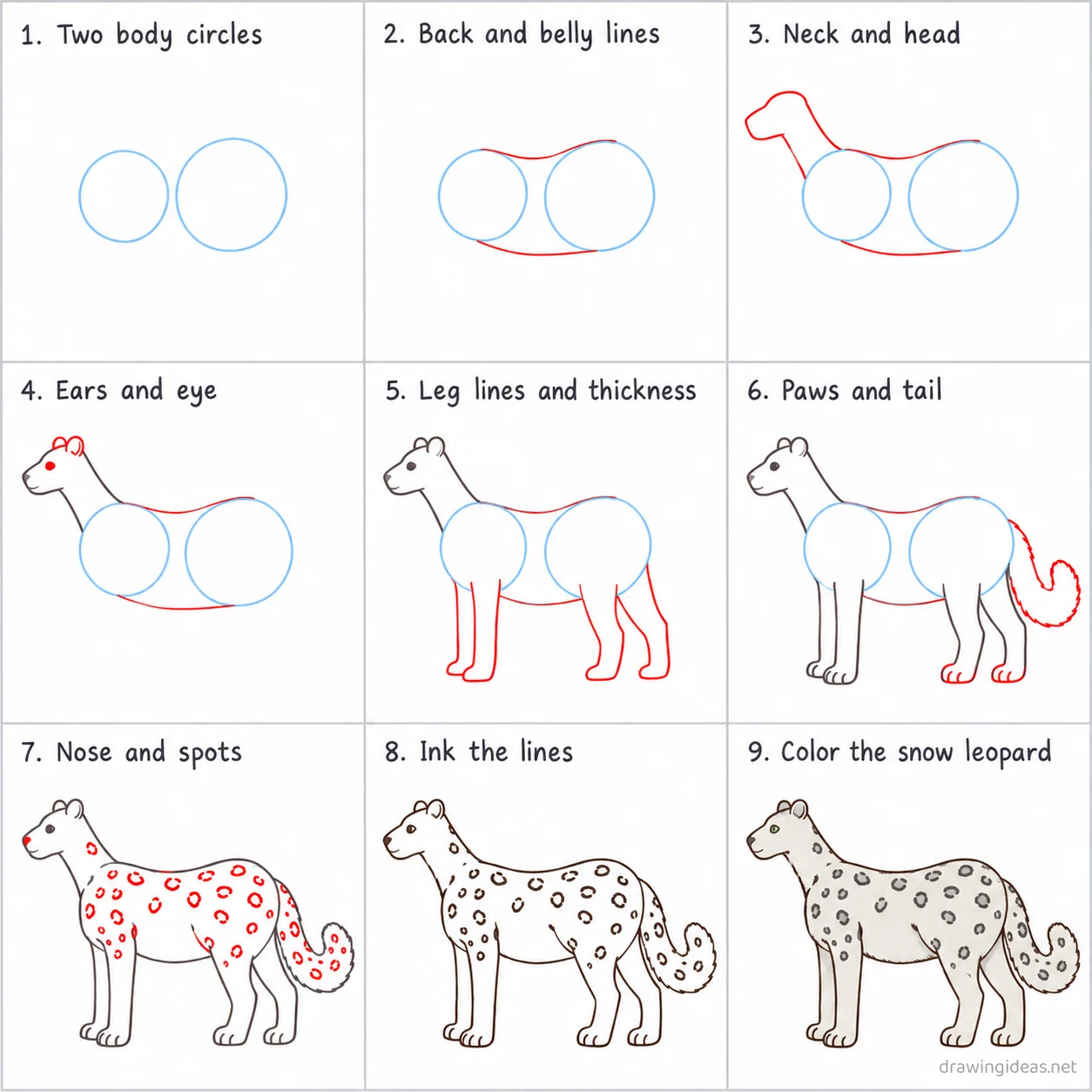 How to draw a snow leopard step by step — 9-step snow leopard drawing tutorial sheet
