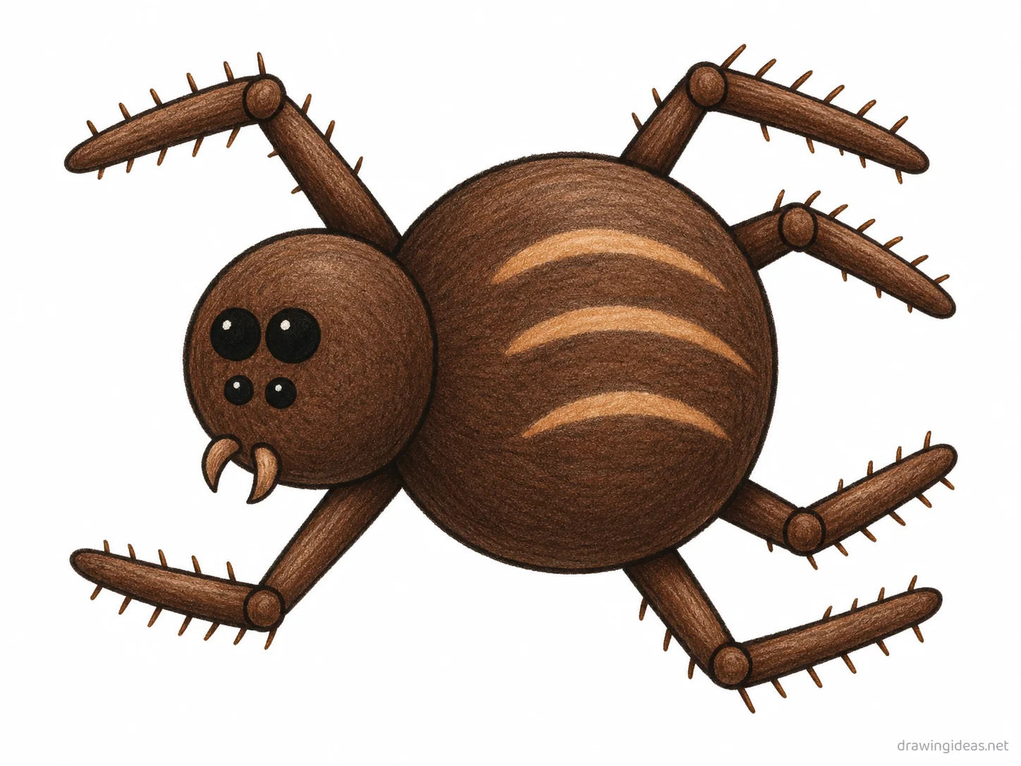 Spider drawing — hand-drawn spider illustration with ink lines and soft colors