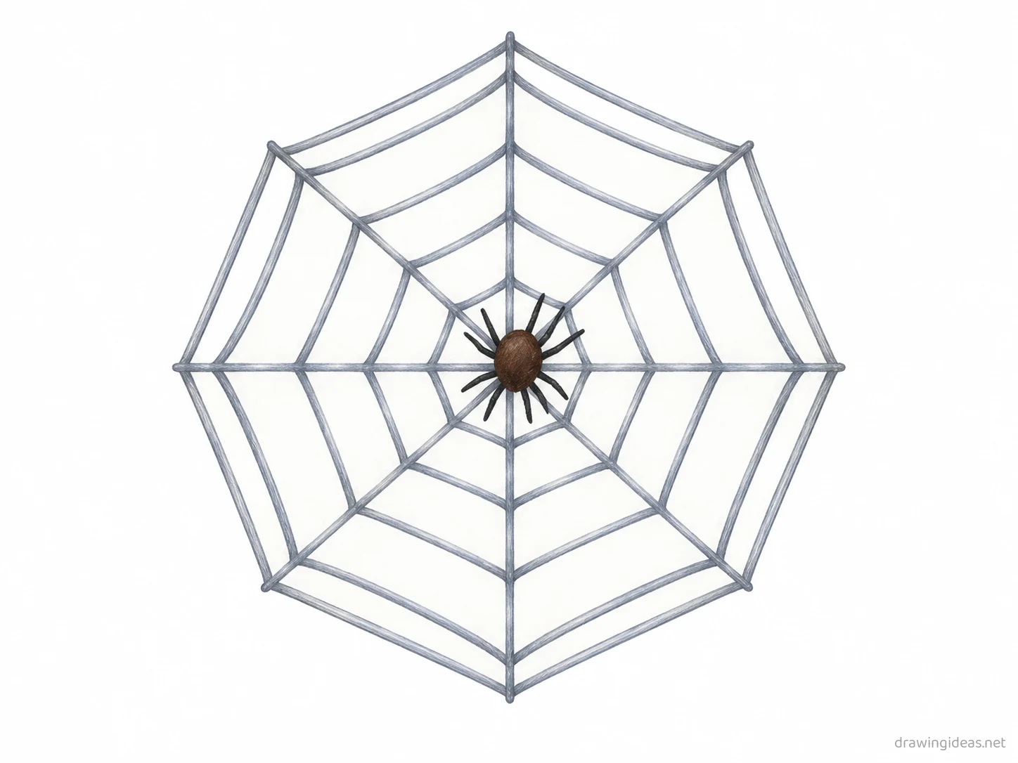 Spider Web drawing — hand-drawn spider web illustration with ink lines and soft colors