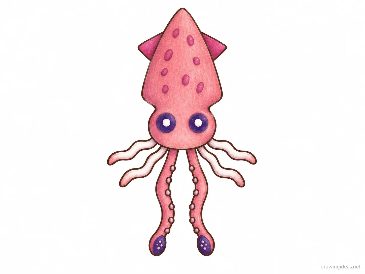 Squid drawing — hand-drawn squid illustration with ink lines and soft colors