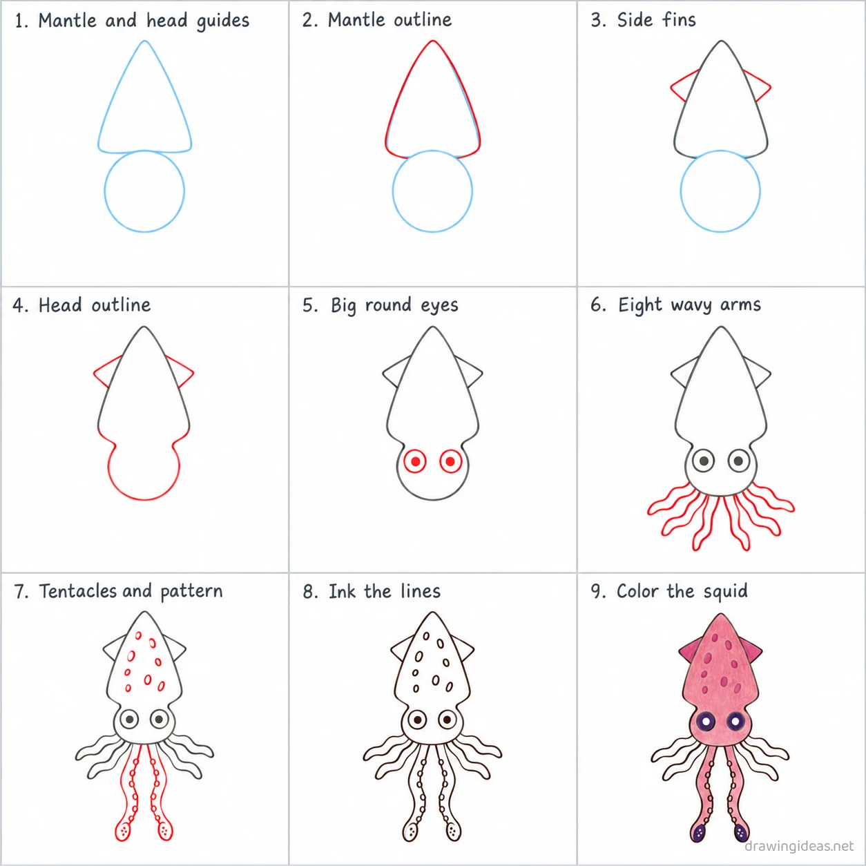 How to draw a squid step by step — 9-step squid drawing tutorial sheet