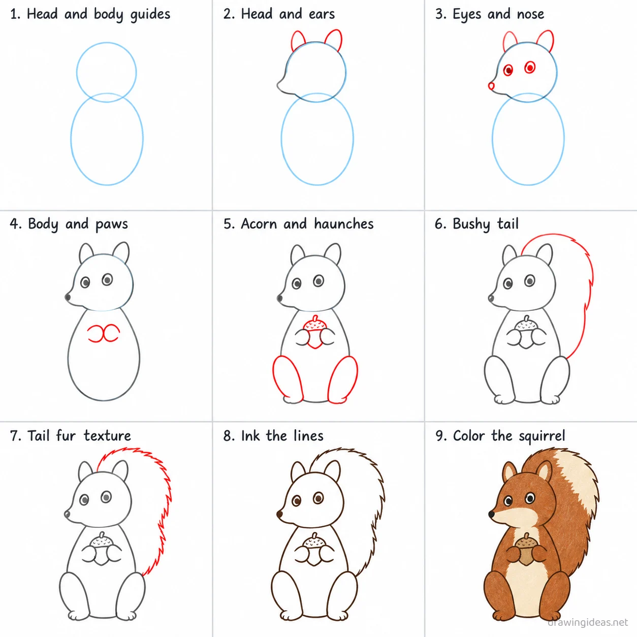 How to draw a squirrel step by step — 9-step squirrel drawing tutorial sheet