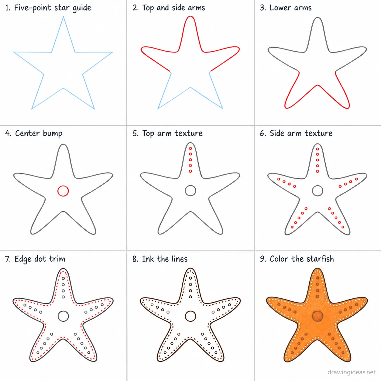 How to draw a starfish step by step — 9-step starfish drawing tutorial sheet