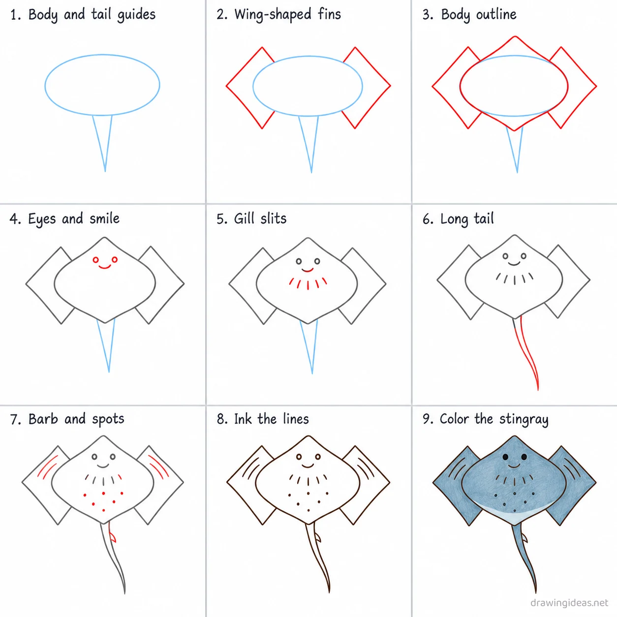 How to draw a stingray step by step — 9-step stingray drawing tutorial sheet