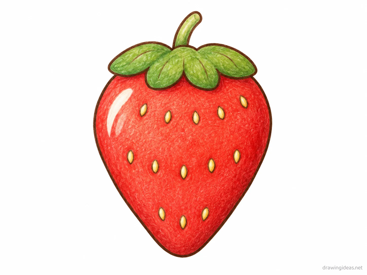 Strawberry drawing — hand-drawn strawberry illustration with ink lines and soft colors