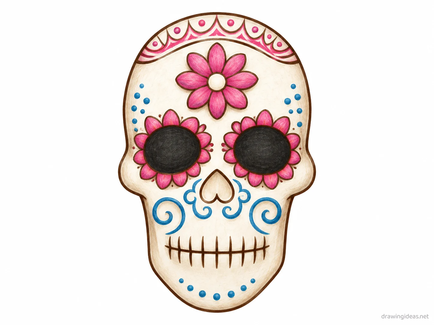 Sugar Skull drawing — hand-drawn sugar skull illustration with ink lines and soft colors