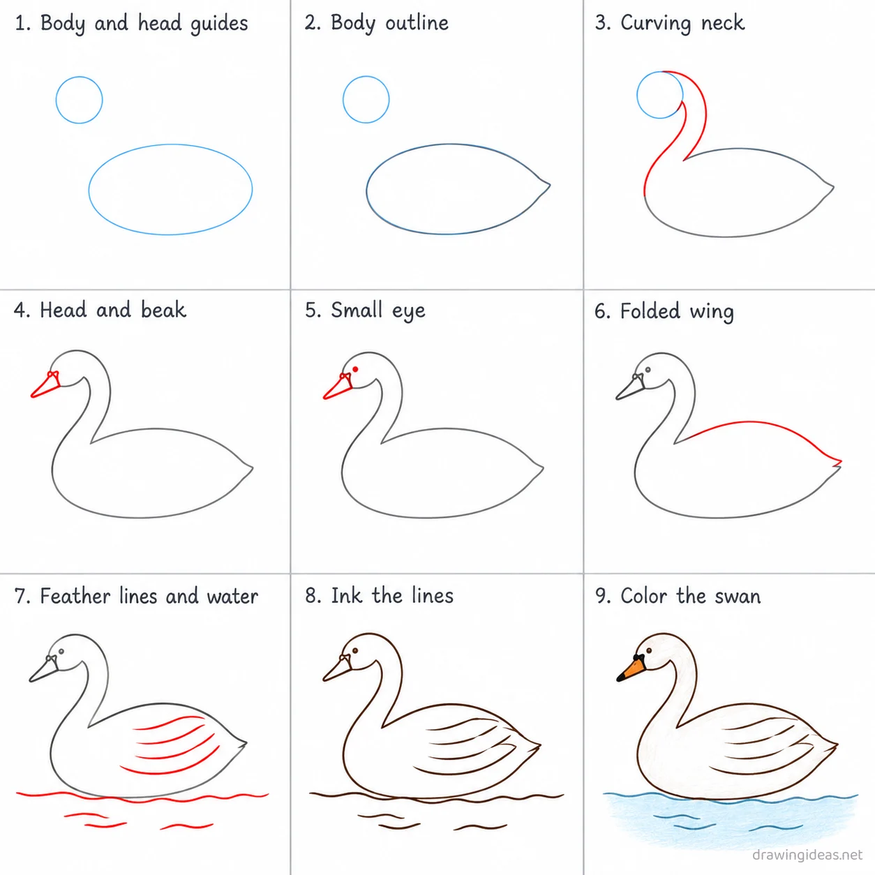 How to draw a swan step by step — 9-step swan drawing tutorial sheet