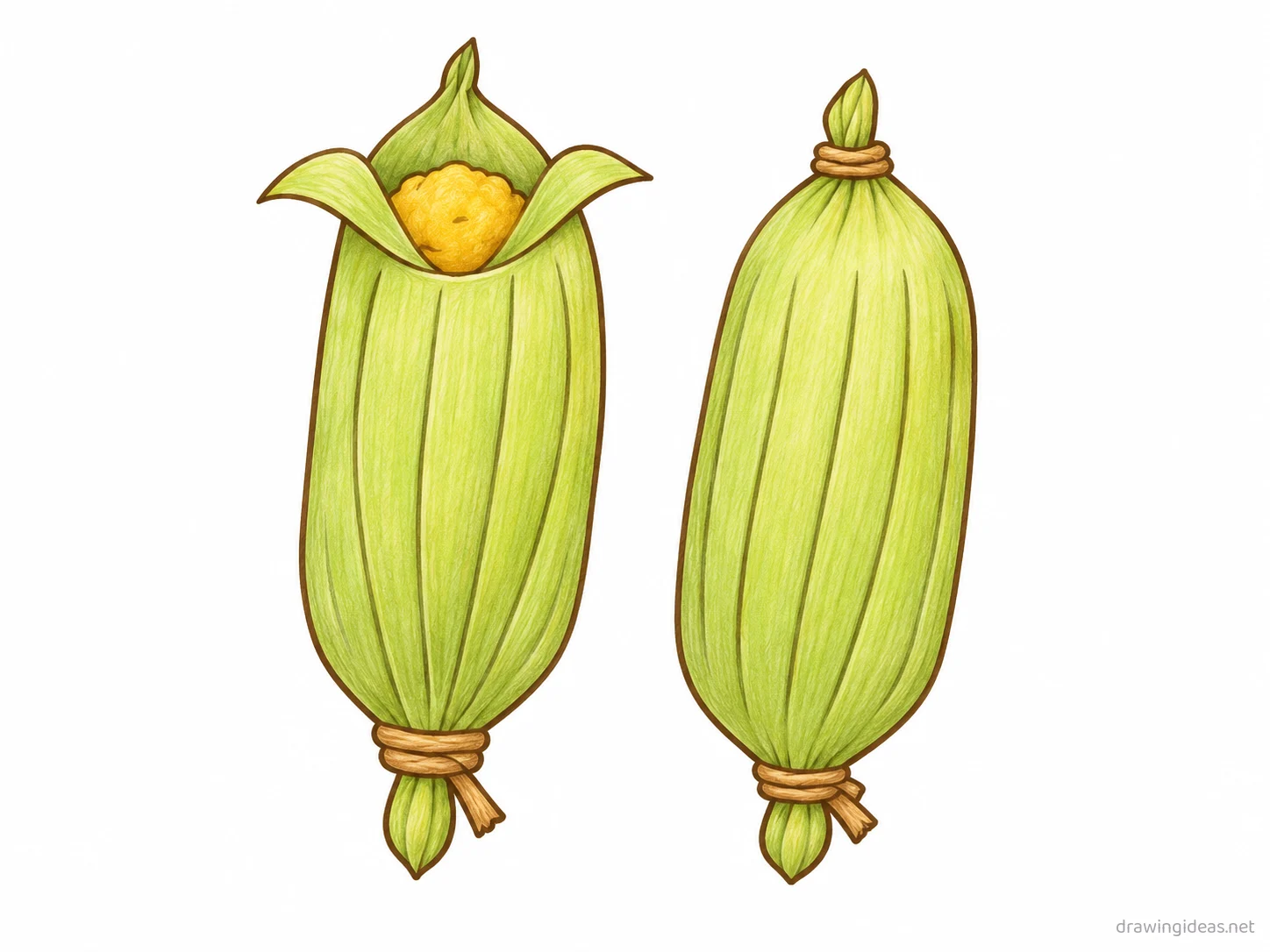 Tamales drawing — hand-drawn tamales illustration with ink lines and soft colors