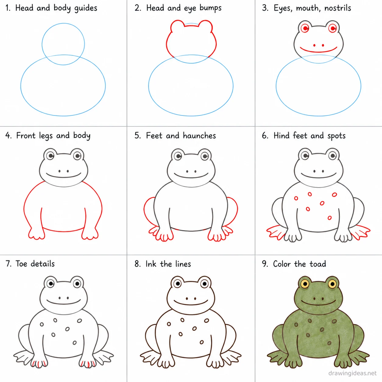 How to draw a toad step by step — 9-step toad drawing tutorial sheet