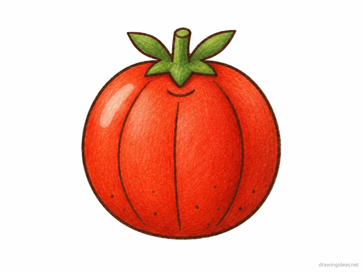 Tomato drawing — hand-drawn tomato illustration with ink lines and soft colors