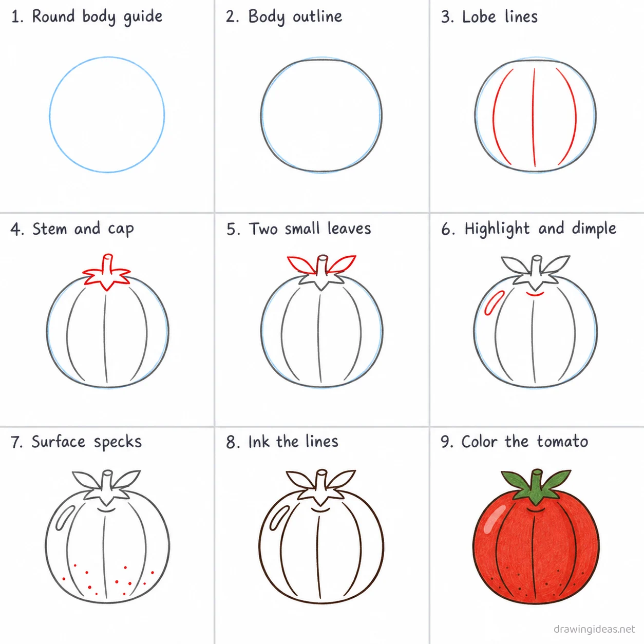 How to draw a tomato step by step — 9-step tomato drawing tutorial sheet