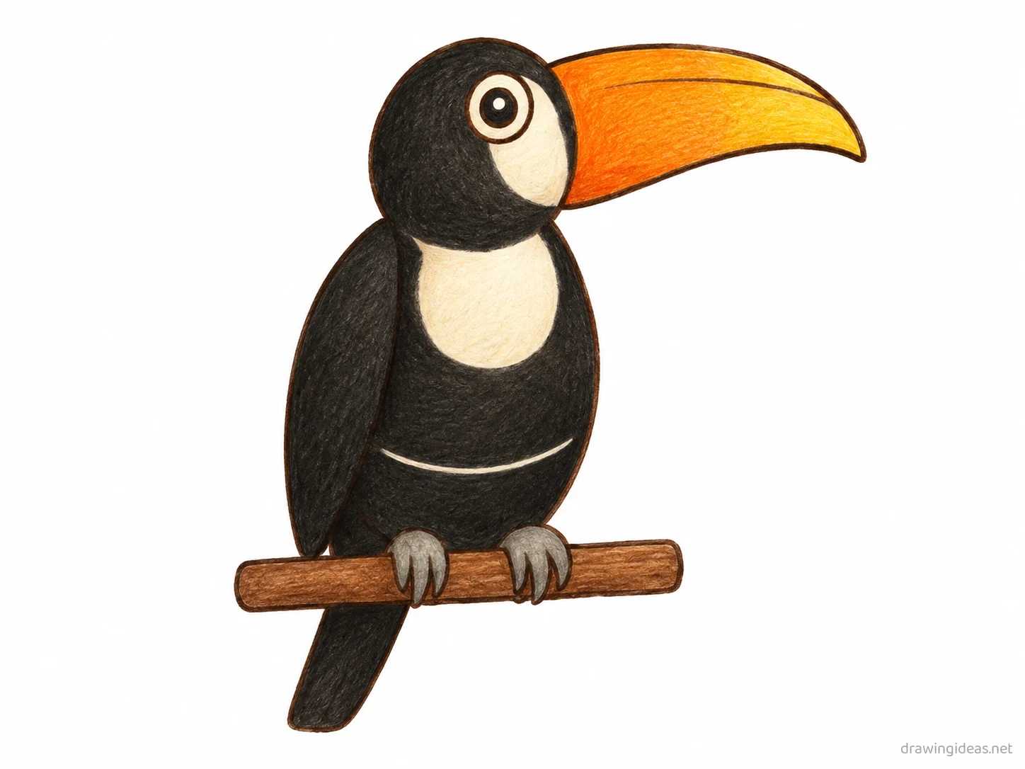 Toucan drawing — hand-drawn toucan illustration with ink lines and soft colors
