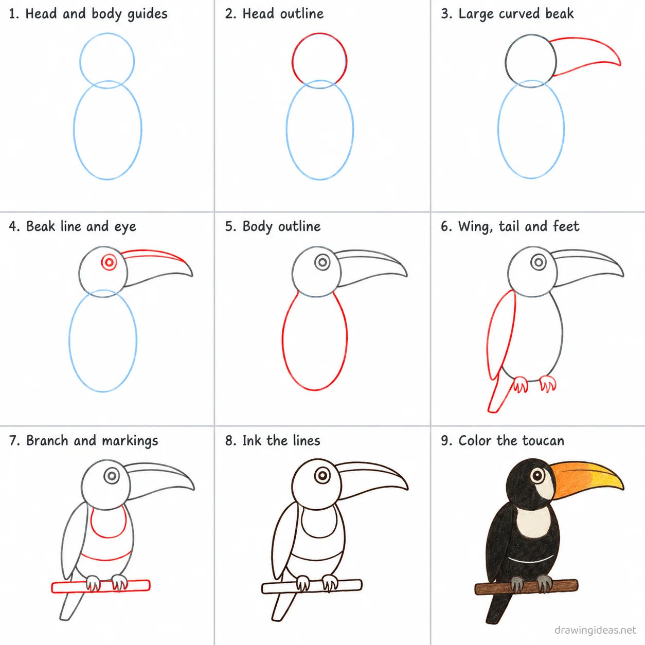 How to draw a toucan step by step — 9-step toucan drawing tutorial sheet