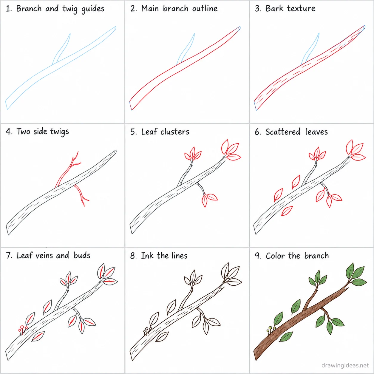 How to draw a tree branch step by step — 9-step tree branch drawing tutorial sheet