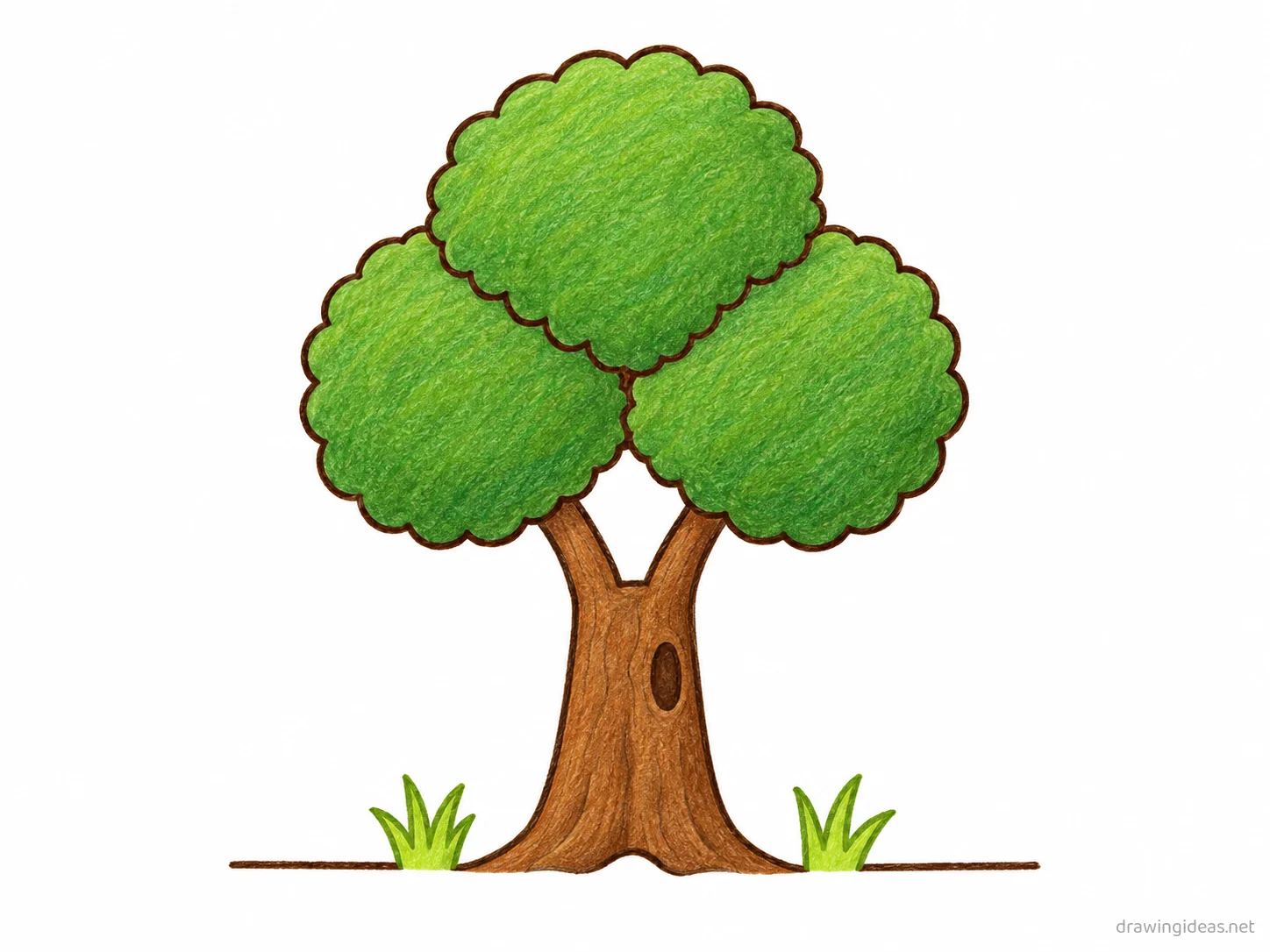 Tree drawing — hand-drawn tree illustration with ink lines and soft colors