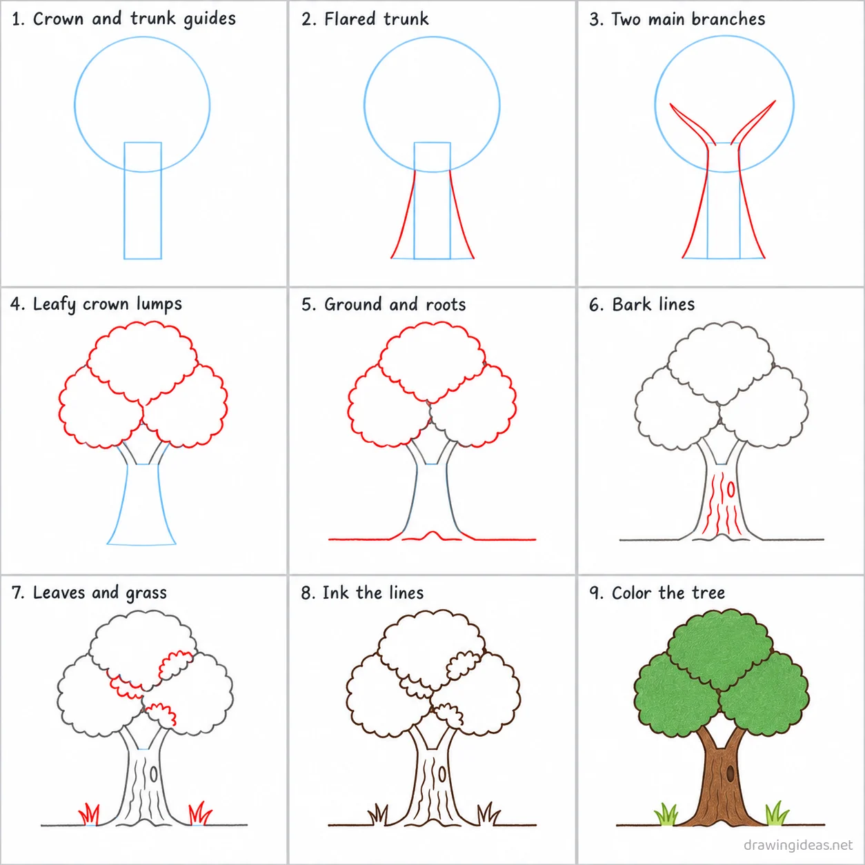 How to draw a tree step by step — 9-step tree drawing tutorial sheet