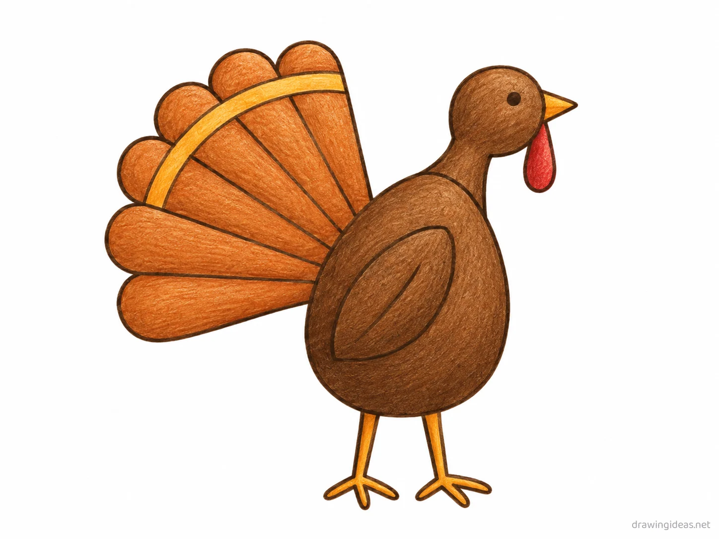 Turkey drawing — hand-drawn turkey illustration with ink lines and soft colors