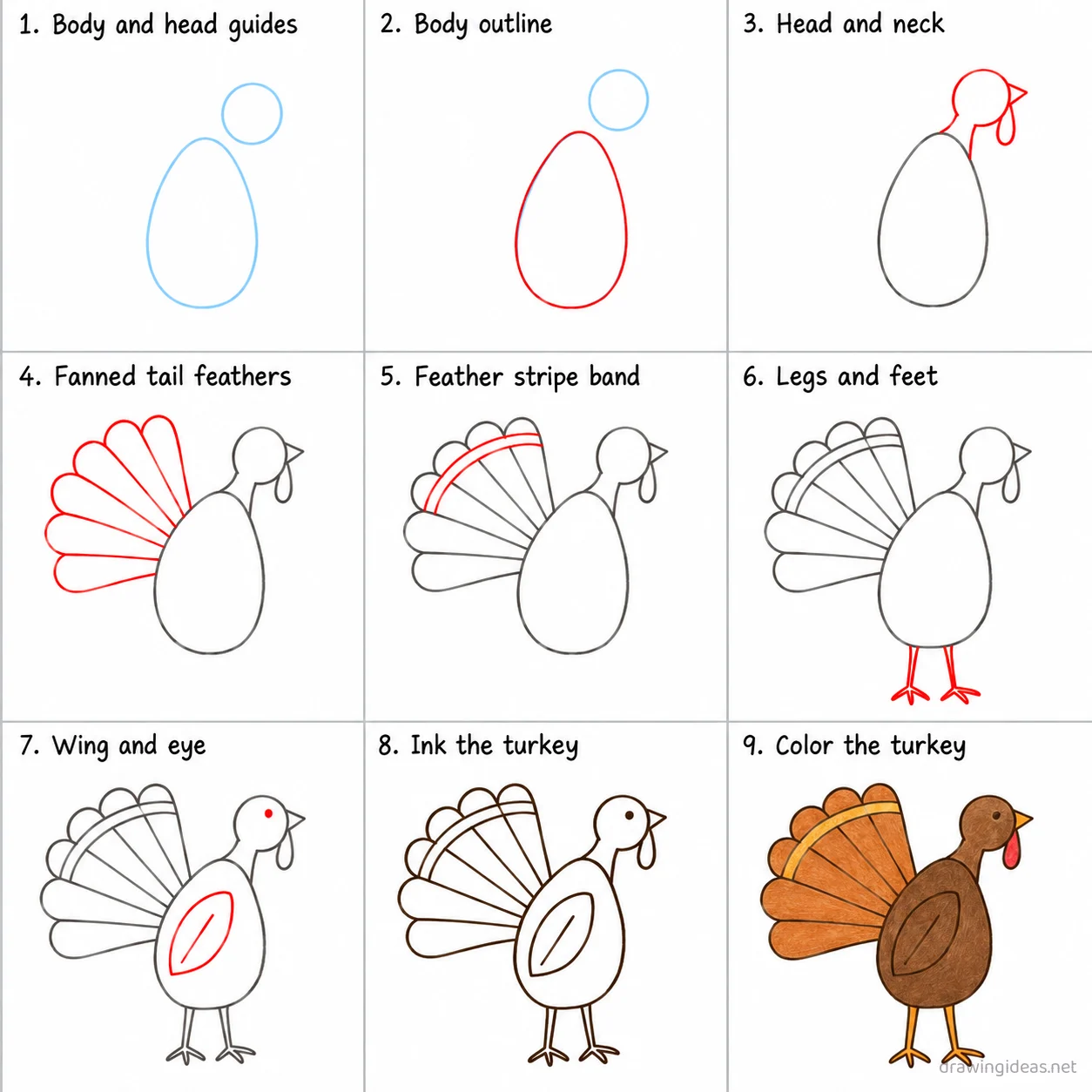 How to draw a turkey step by step — 9-step turkey drawing tutorial sheet